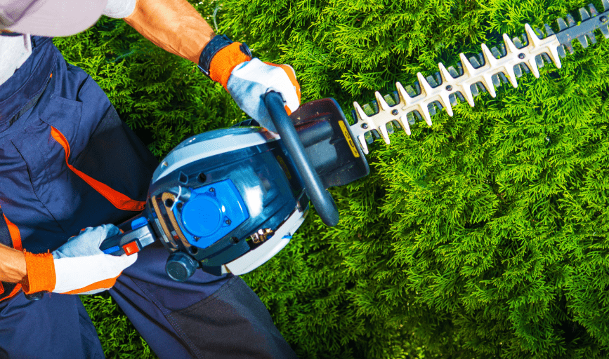 TREE TRIMMING