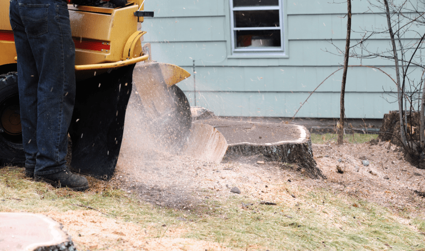 STUMP GRINDING